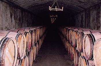 Cellars at Yvon Mau in Bordeaux.  