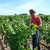 Jean-Christophe Mau in the vineyards